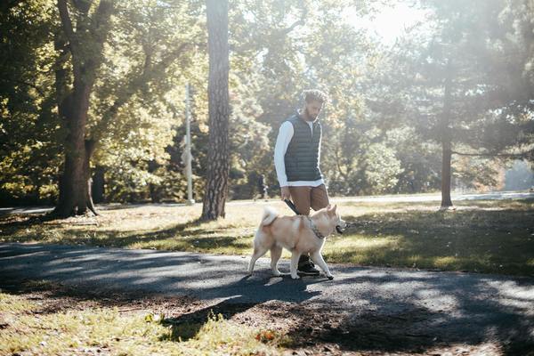 Le guide complet pour choisir et utiliser les sacs à crottes pour chiens de manière efficace et écologique